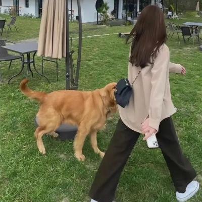 赦免