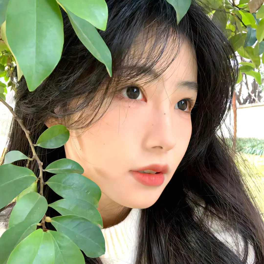黑玫瑰公寓